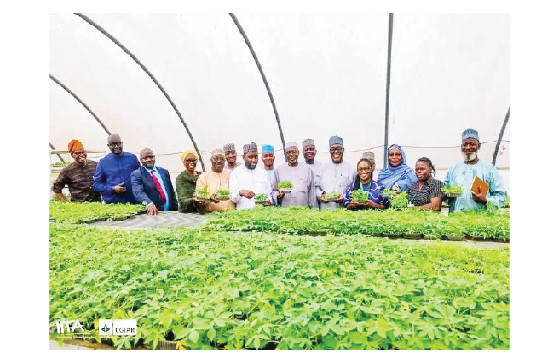 Jigawa Agricultural Research Institute Emerges As Model For Others 2 JIGAWA AGRIC 1