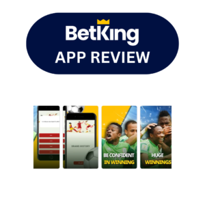 BetKing app