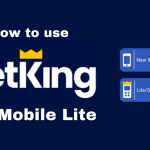 BetKing Old Mobile Lite: Betting solutions for online gamers