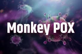 Nigeria Leads As Africa Records 524 Infections, 12 Deaths From Monkeypox 1 monkey pox