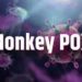 monkey pox