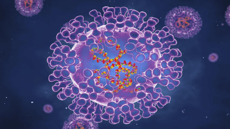 Pox virus, illustration. Pox viruses are oval shaped and have double-strand DNA. There are many types of Pox virus including Chickenpox, Monkeypox and Smallpox. Smallpox was eradicated in the 1970's. Infection occurs because of contact with contaminated animals or people and results in a rash or small bumps on the skin.