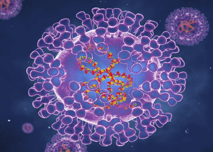 Pox virus, illustration. Pox viruses are oval shaped and have double-strand DNA. There are many types of Pox virus including Chickenpox, Monkeypox and Smallpox. Smallpox was eradicated in the 1970's. Infection occurs because of contact with contaminated animals or people and results in a rash or small bumps on the skin.