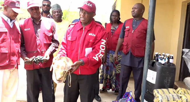 NDLEA Seizes 1,500kg Cannabis In Bauchi 1 NDLEA2