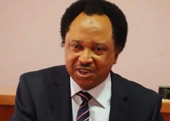 Southern Presidency: Calm Down, Delegates Don’t Read Constitution, Shehu Sani Replies Fayose