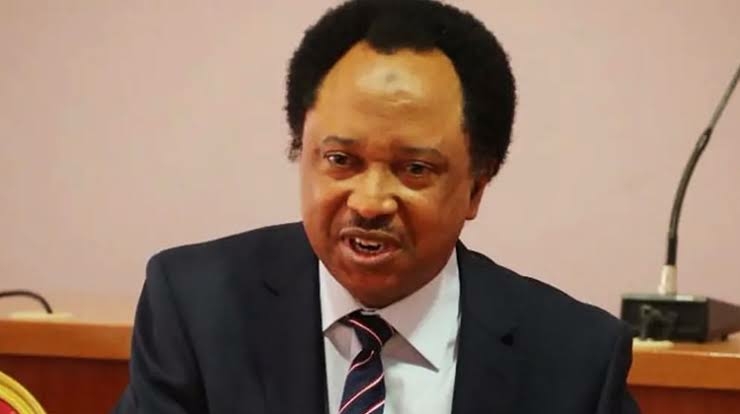Southern Presidency: Calm Down, Delegates Don't Read Constitution, Shehu Sani Replies Fayose 1 655EB2BD C18D 487D A43C 61FE70FEB8B5
