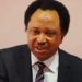 Southern Presidency: Calm Down, Delegates Don’t Read Constitution, Shehu Sani Replies Fayose