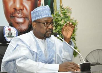 Niger Governor