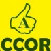 39-Year-old Imumolen Wins Ticket Of Accord Party