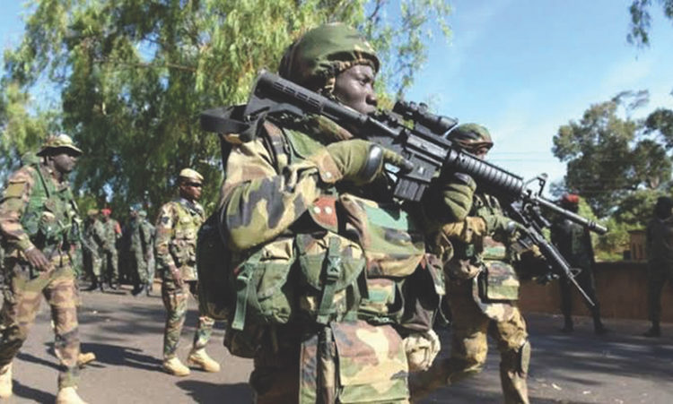 Boko Haram, Troops