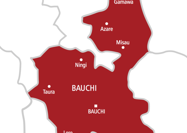 Bauchi