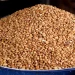 Profiting From Beans Farming