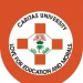 Upstream Regulator Confirms Caritas University Gas Fire, Says Real Cause Not Clear 5 Caritas