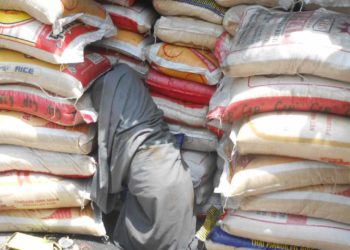 Customs Seizes Foreign Rice, PMS, Donkey Skins In Bauchi