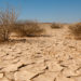 Desertification: Yobe Residents Overwhelmed By Sand Storms, As State Government Strengthens Plans For Preventive Measures 5 Combating Desertification And Drought, A Call To Action