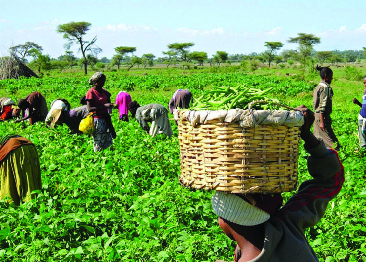 Benue, Nasarawa Farmers