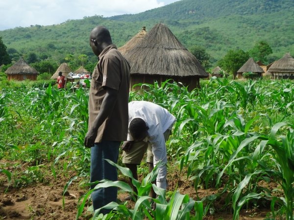 Farmers Need More Sensitisation On Food Safety’ 1 Farmers