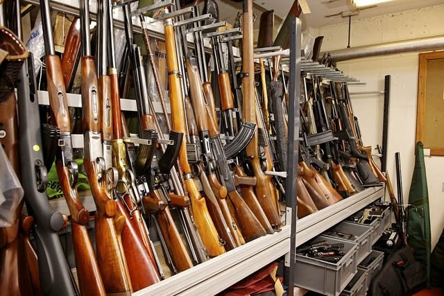 That Call For Citizens To Bear Arms In Self-defence 1 Arms