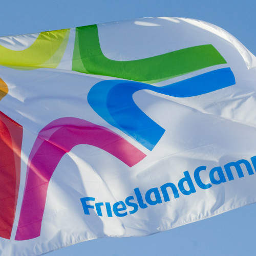 FrieslandCampina WAMCO Records 35% Revenue Growth 1 FrieslandCampina WAMCO