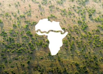 Funds Paucity Impeding Implementation Of GGW Initiative – Federal Govt