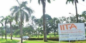South West Plans Security Summit IITA, Mastercard Foundation Engage Investors On Agribusiness