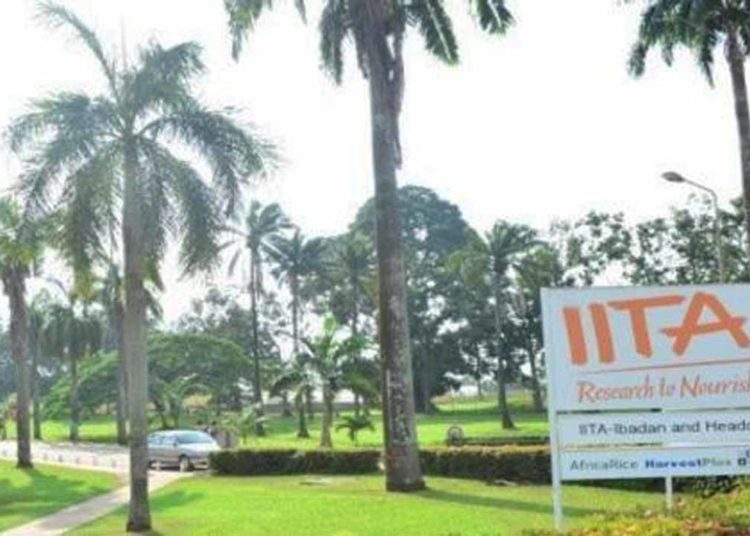 IITA