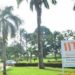 IITA, Mastercard Foundation Engage Investors On Agribusiness