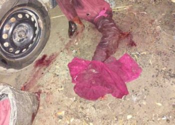ISWAP Abducts 3 Humanitarian Workers, Kills 3 Civilian JTF Members