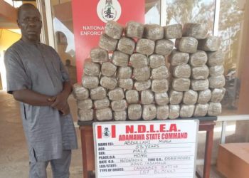NDLEA Arrests Drug Kingpin Behind Attacks On Operatives In Adamawa