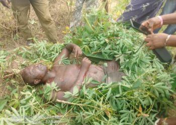 Tension As Gunmen Kill Bayelsa Traditional Ruler, CDC Chairman