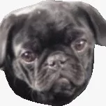 Barry Lists 3 Methods To Bring Positivity Into Your Life  