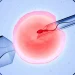 IVF