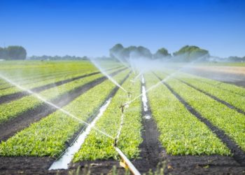 Boosting Year-round Crop Production Through Drip Irrigation Technology