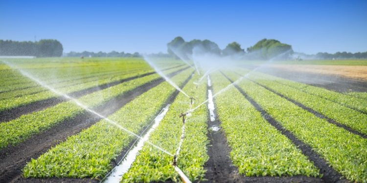 Irrigation Technology