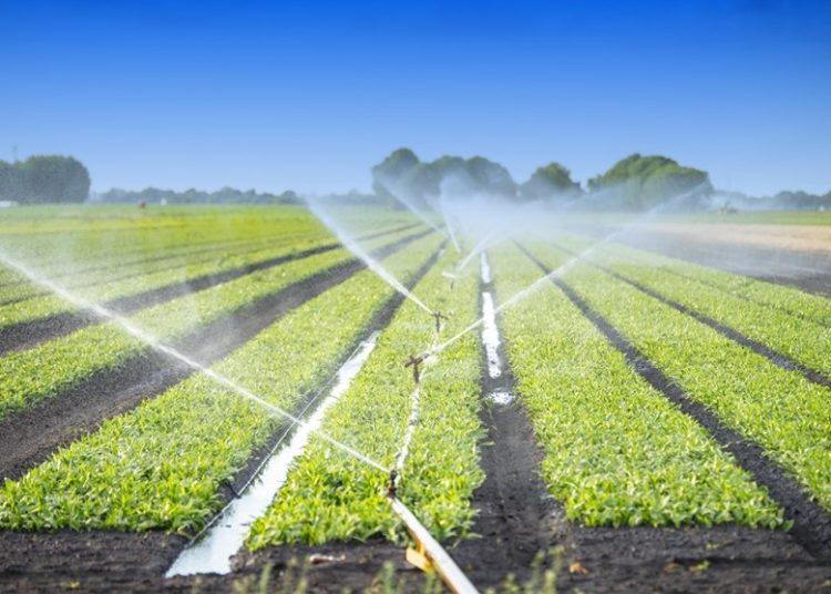 Irrigation Technology