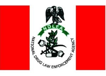 NDLEA Arraigns 11 Filipinos For Trafficking 13.65kg Cocaine Into Nigeria