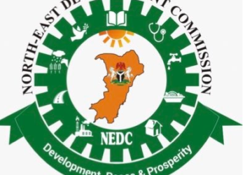 NEDC Launches Education Fund In Gombe