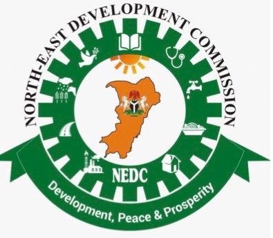 NEDC Moves To Upgrade 2 Borno Hospitals 1 NEDC