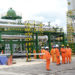 Oil
