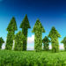 Sustainable Insurance