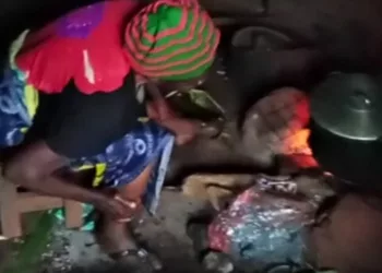 Harmful Smoke From Firewood Remains Risk To Nigerian Women