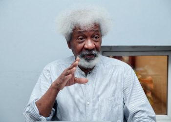 Soyinka, Ozekhome Urge Democracy Driven By Electorate