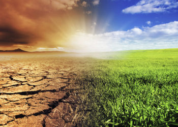 Experts Brainstorm On Environmental, Health Sustainability At UNITE Summit