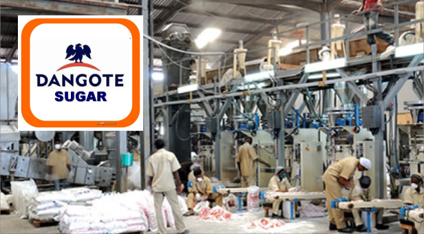 Dangote, Niger State Sign N166bn MoU Sugar Production Project 1 dangote sugar