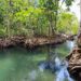 Group Calls For Global Action To Save Depleting Ecosystem