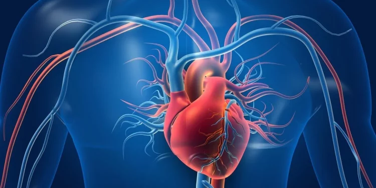Heart Disease Patients
