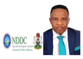 Group Accuses NDDC Interim Boss Of Working Against Board Inauguration