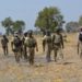 Troops Kill 252 Terrorists, Arrest Informant, Foreign Weapons Supplier 5 Troops Kill Scores Of Terrorists, Recover 3 Gun Trucks