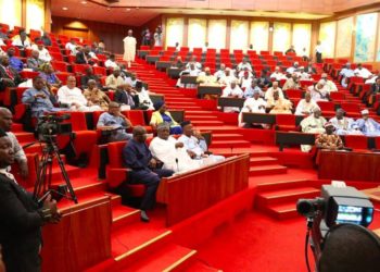 Primaries: 10th Senate To Witness Many First -timers
