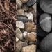 Boosting Manufacturing Sector Through Local Raw Materials Sourcing